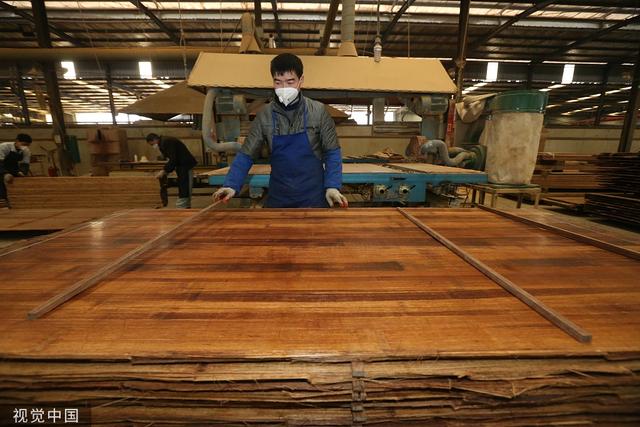 四川眉山 以竹代“鋼” 點(diǎn)綠成金的竹產(chǎn)業(yè)創(chuàng)新之路