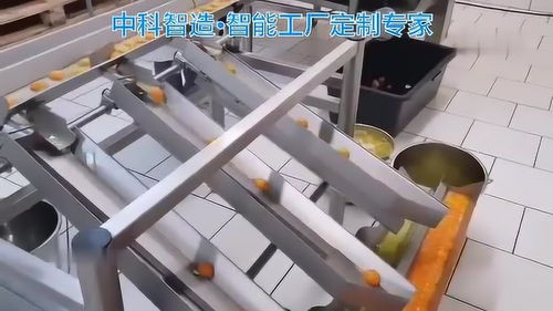 自動(dòng)化蛋清分離機(jī) 竹制品加工行業(yè)的省人降本與提效保質(zhì)新利器